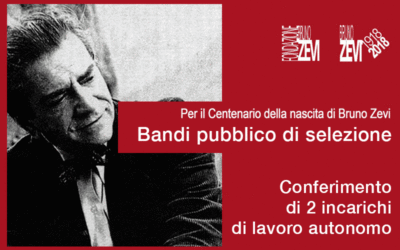 Bandi pubblici di selezione per conferimento di 2 incarichi professionali