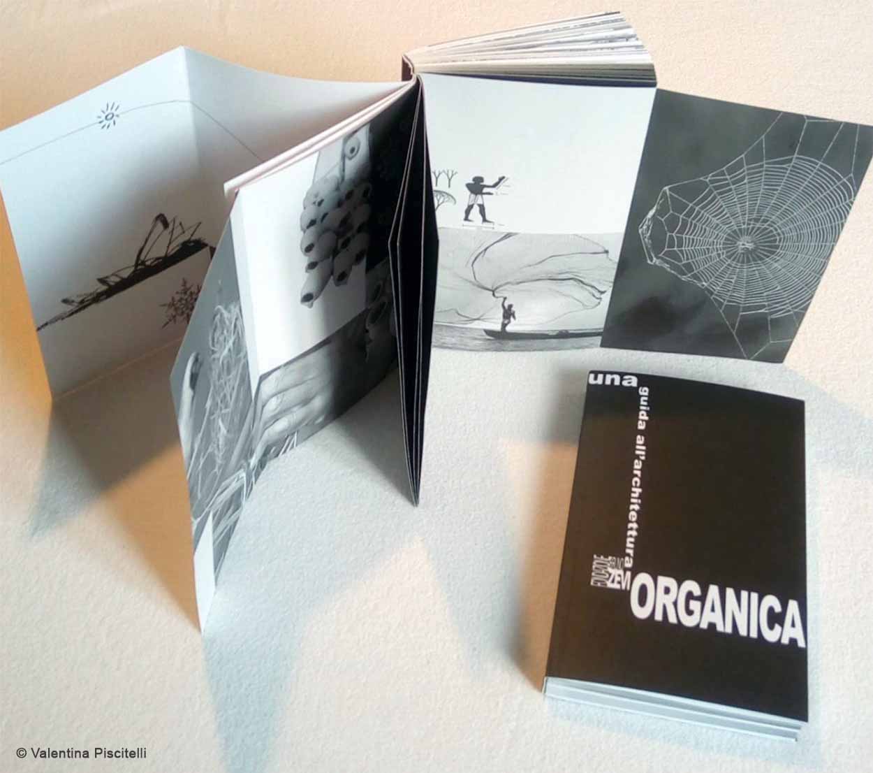 Guida Organica_2